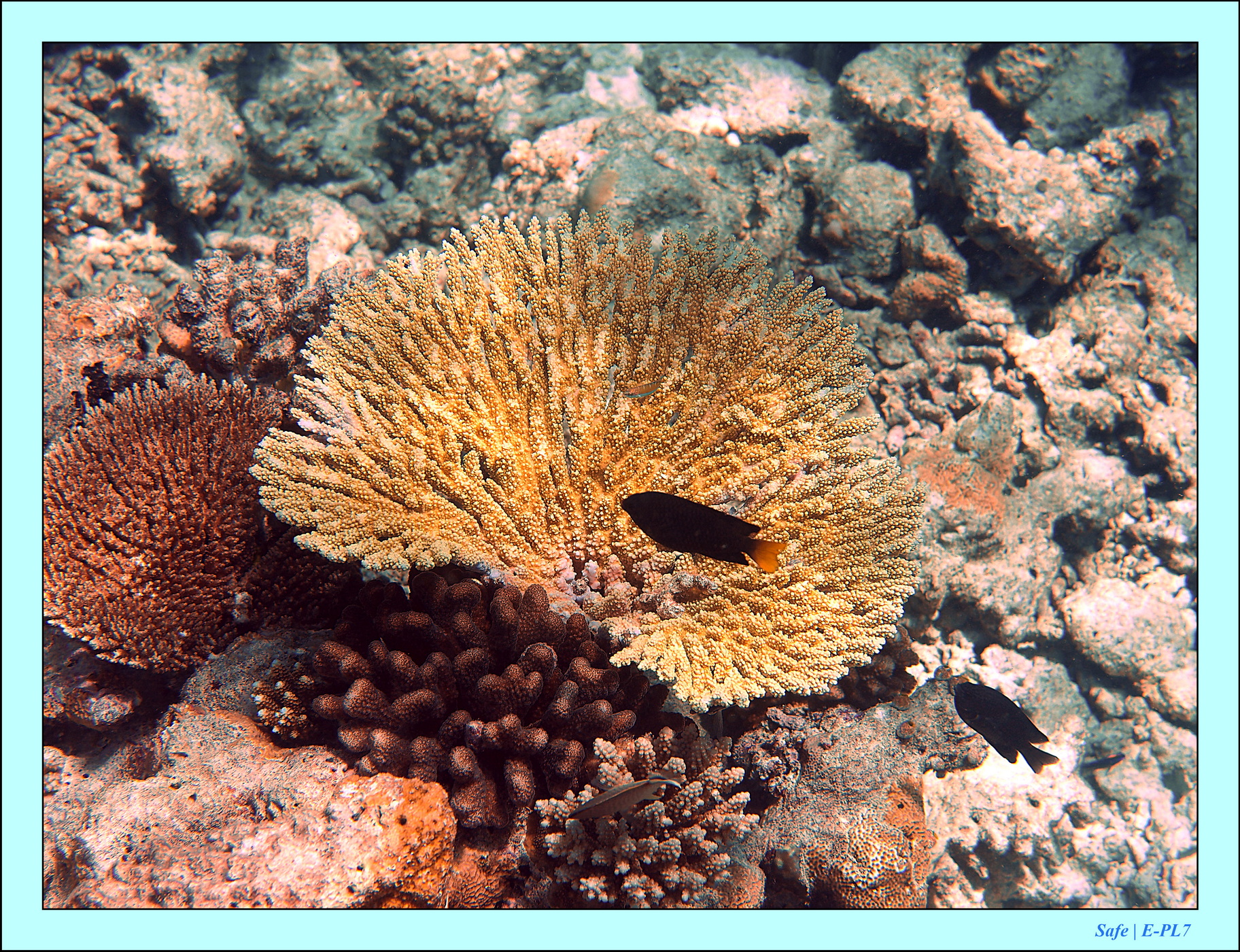 2023 - 07 - Sandies Bathala - 241